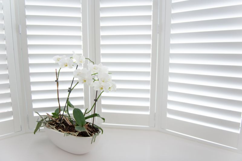 Wood Shutters Installation in Boulder, CO